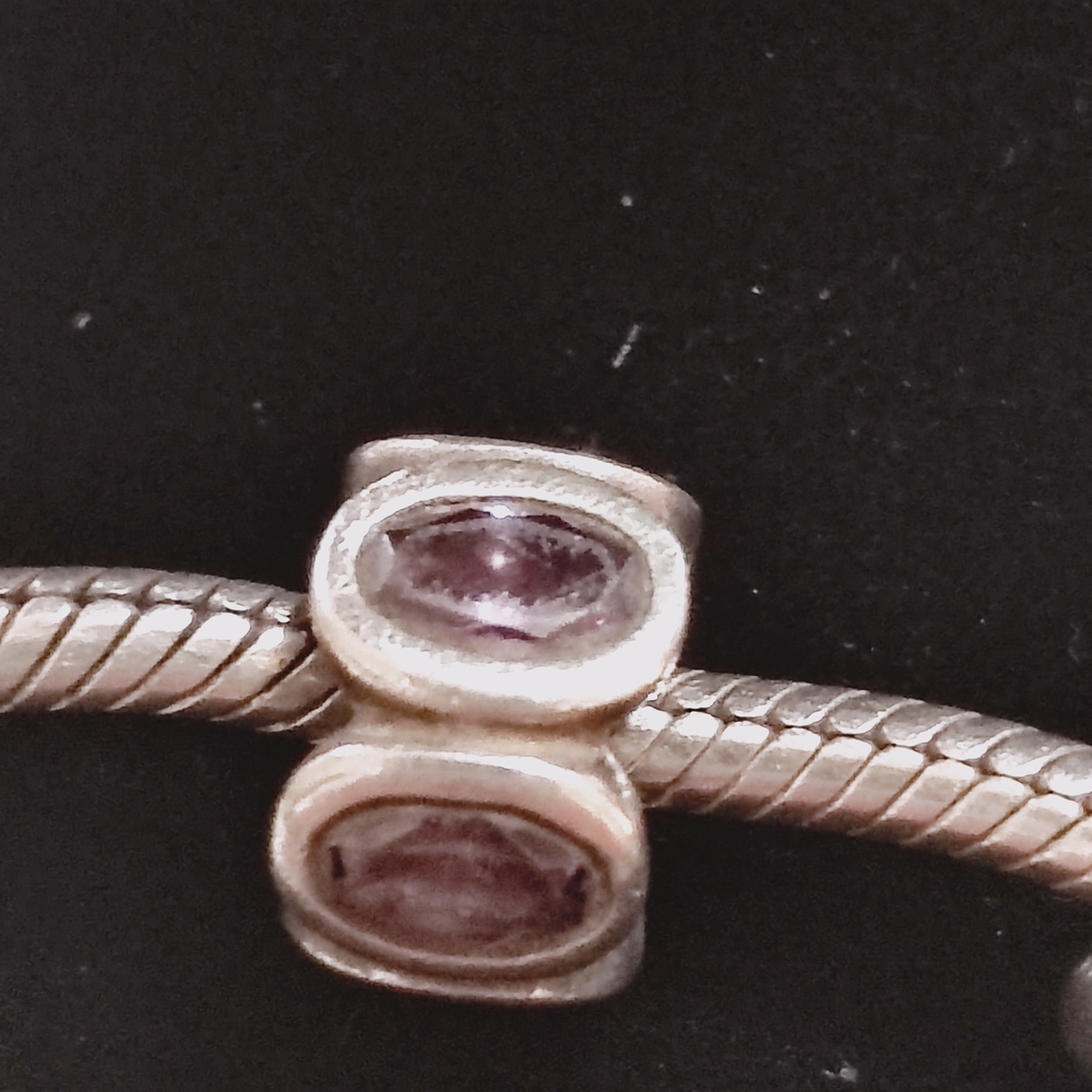 Pandora Charm Bracelet - Picture 5 of 15